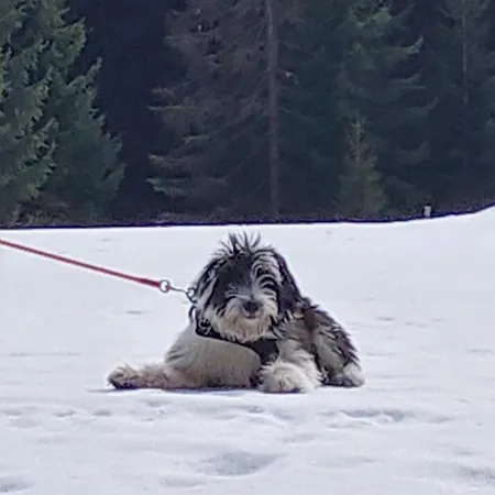 Haus Farmer Affittacamere 3*